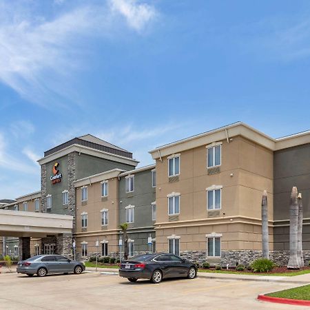 Comfort Suites Near Texas A&M - קורפוס כריסטי מראה חיצוני תמונה