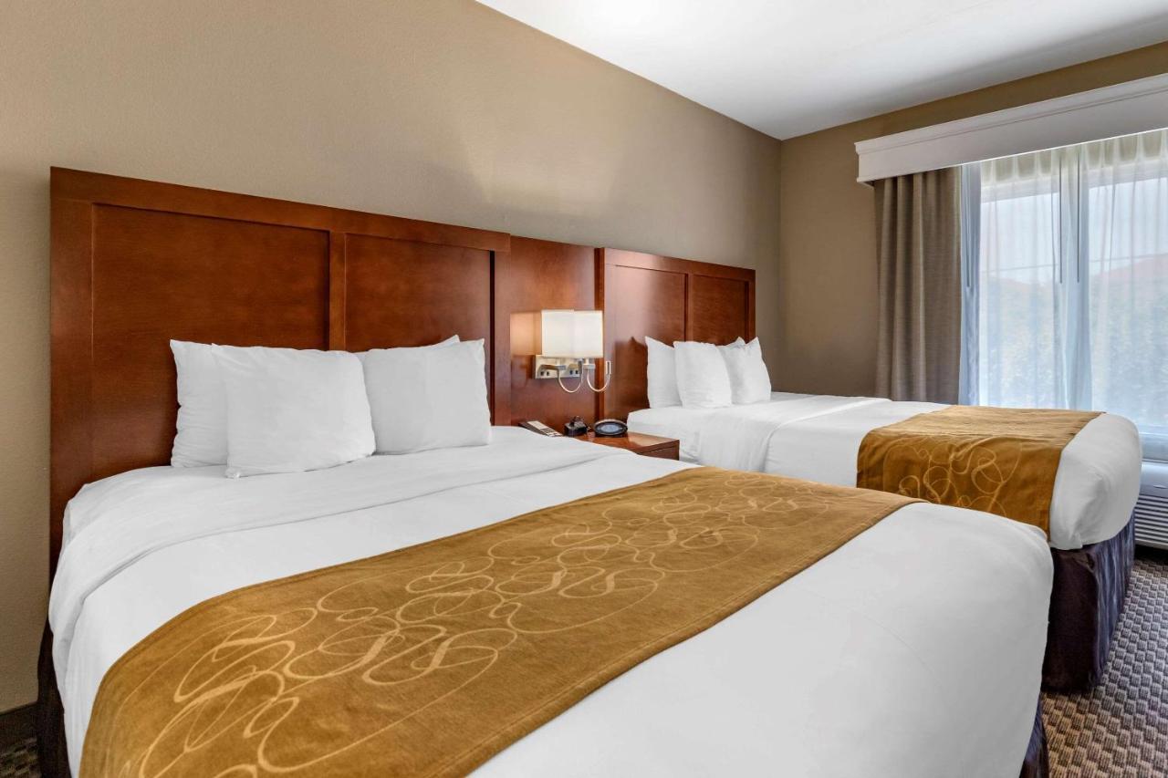 Comfort Suites Near Texas A&M - קורפוס כריסטי מראה חיצוני תמונה