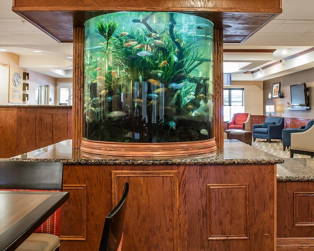 Comfort Suites Near Texas A&M - קורפוס כריסטי מראה חיצוני תמונה