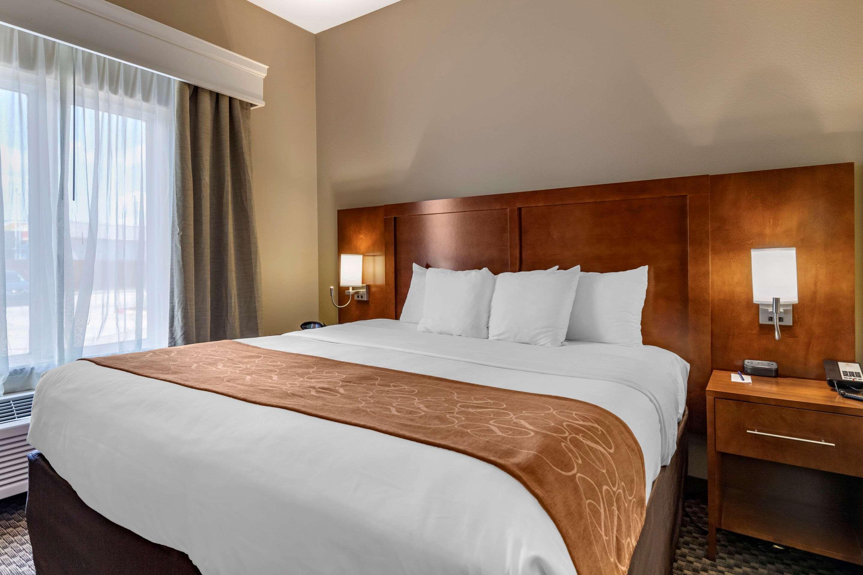 Comfort Suites Near Texas A&M - קורפוס כריסטי מראה חיצוני תמונה