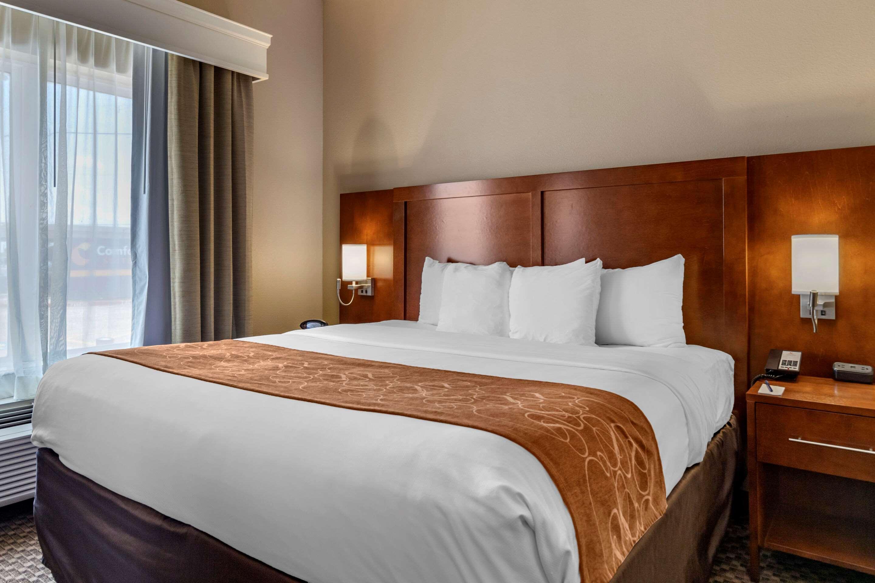 Comfort Suites Near Texas A&M - קורפוס כריסטי מראה חיצוני תמונה