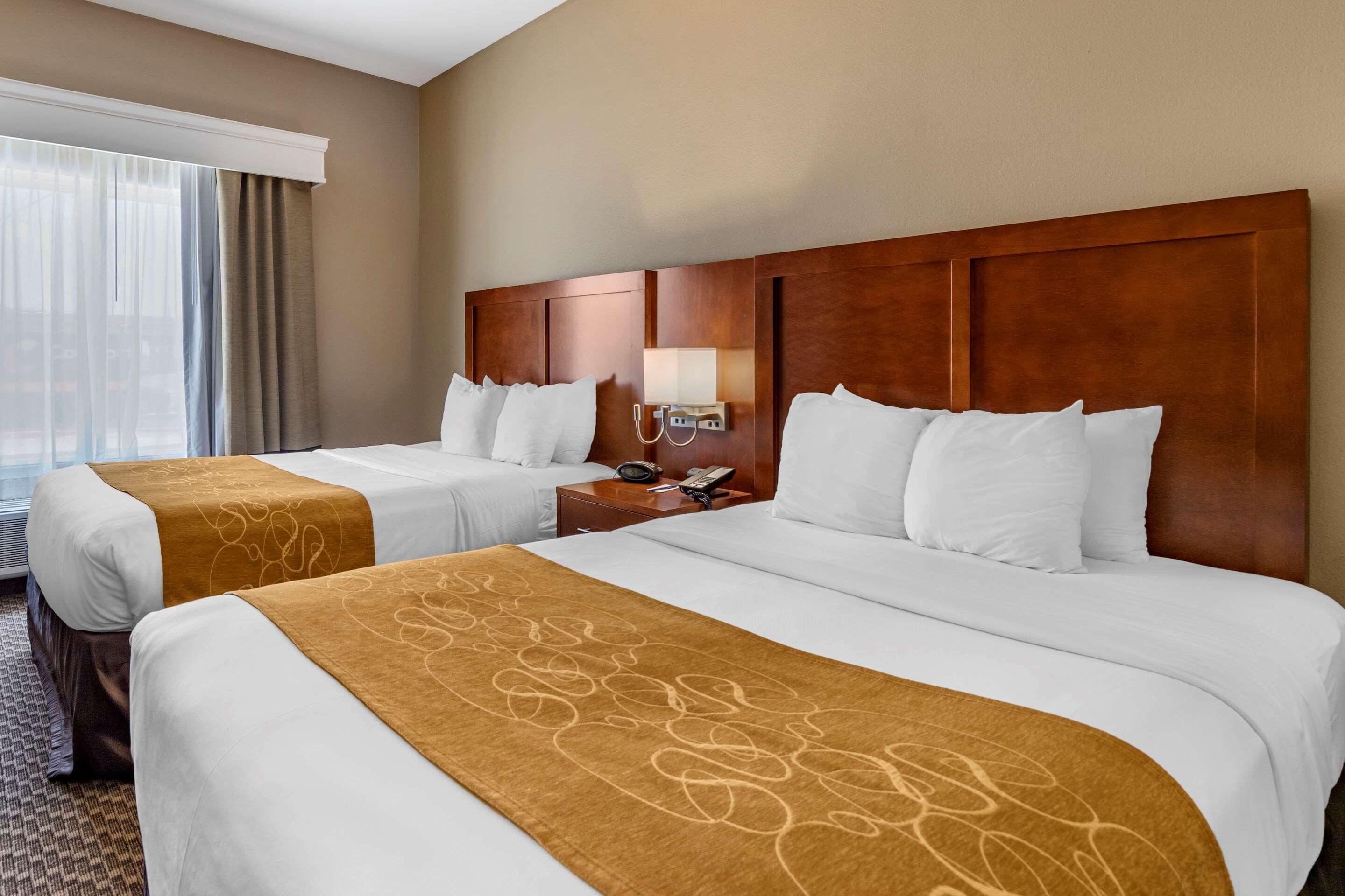 Comfort Suites Near Texas A&M - קורפוס כריסטי מראה חיצוני תמונה