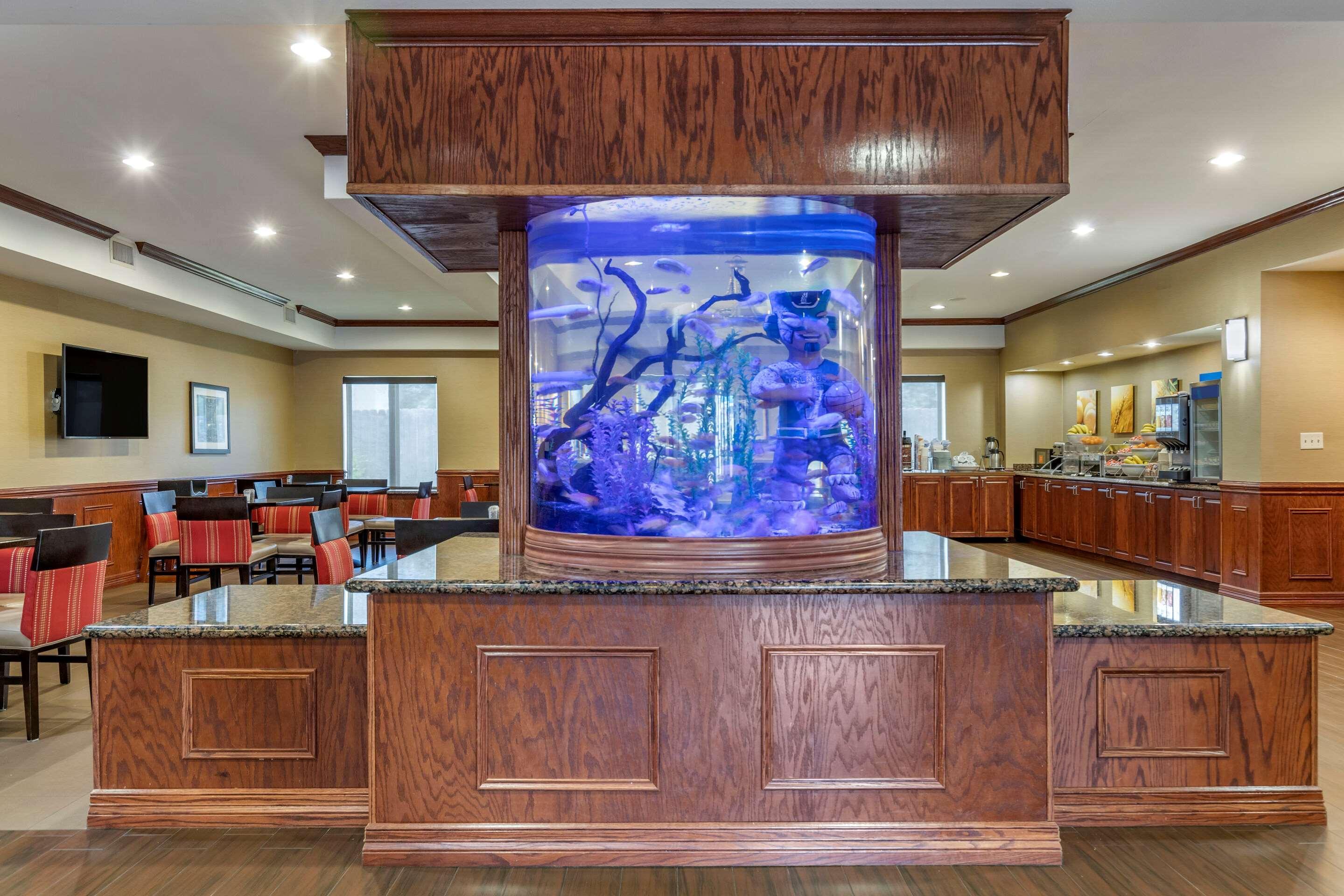 Comfort Suites Near Texas A&M - קורפוס כריסטי מראה חיצוני תמונה